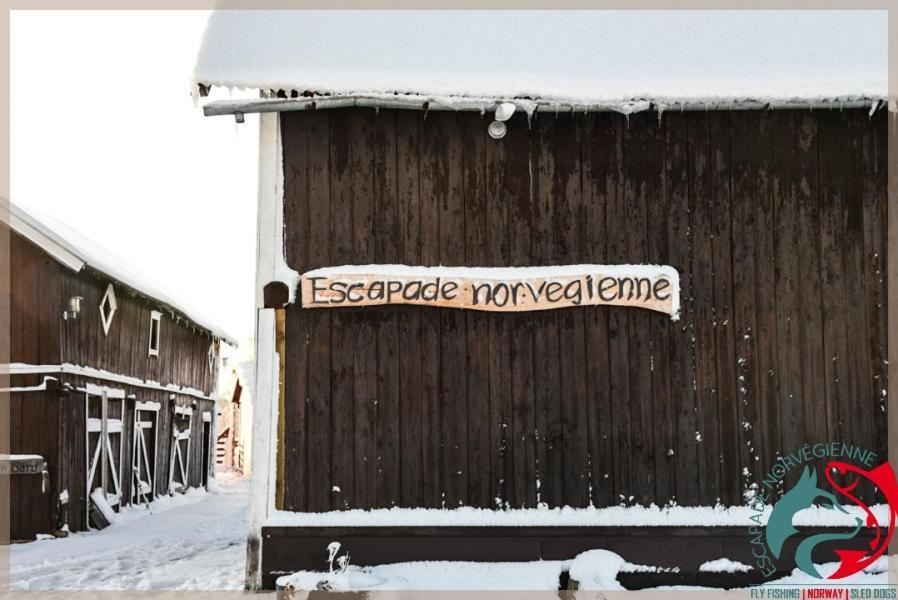Escapade Norvegienne Apartment Tolga Luaran gambar