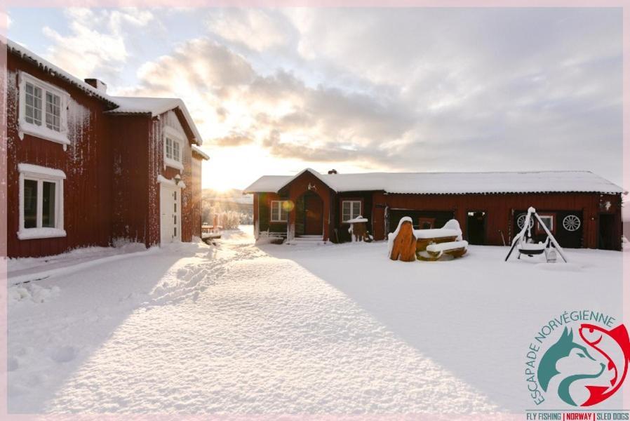 Escapade Norvegienne Apartment Tolga Luaran gambar