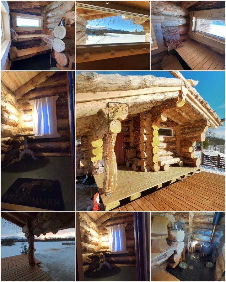 Escapade Norvegienne Apartment Tolga Luaran gambar